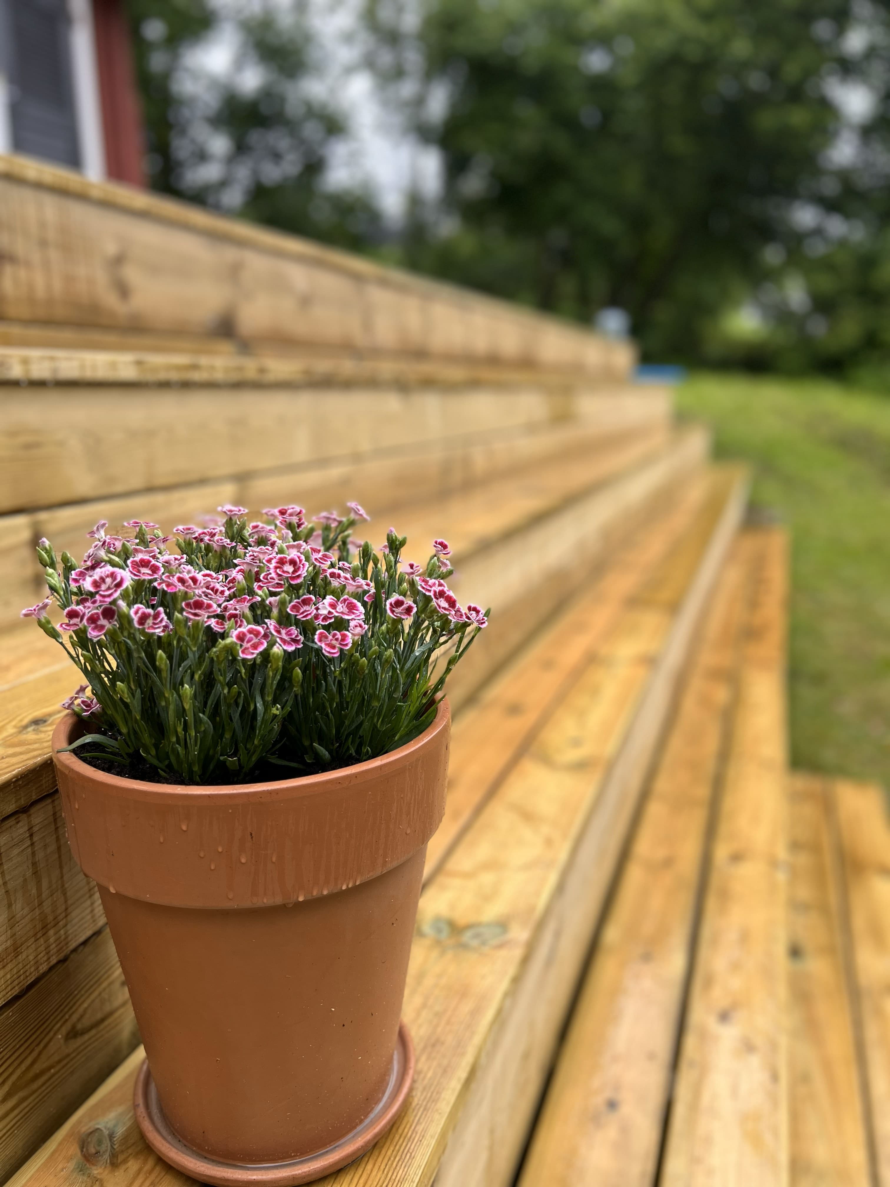 Omtanke i varje steg